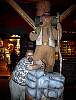 dsc00099.jpg
