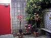 dsc00039.jpg