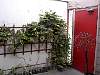 dsc00040.jpg
