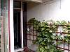 dsc00041.jpg
