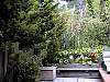 dsc00073.jpg