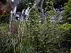 dsc00076.jpg