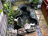 dsc00085.jpg