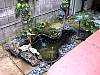 dsc00086.jpg